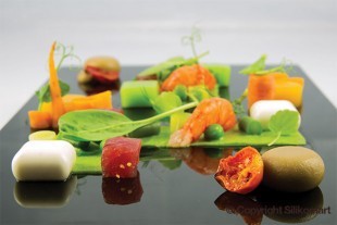Szilikonos forma /MICRO GEM /