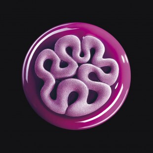 Szilikonos díszítő sablon "JELLY"